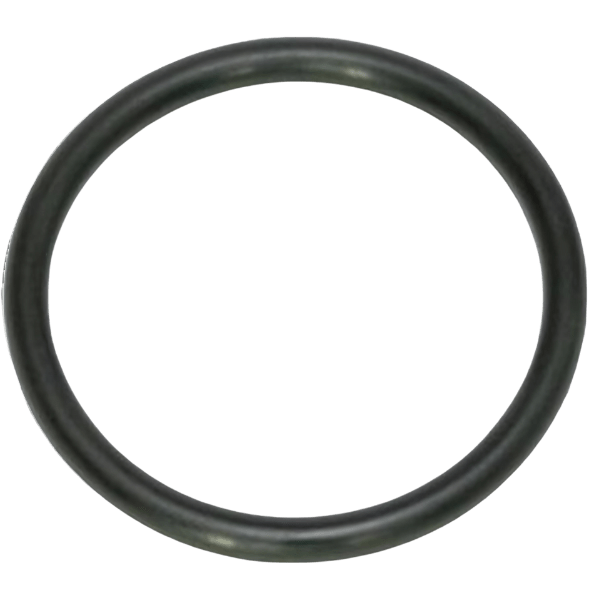 O-ring