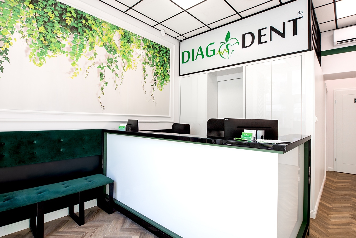 Diagdent - Optident